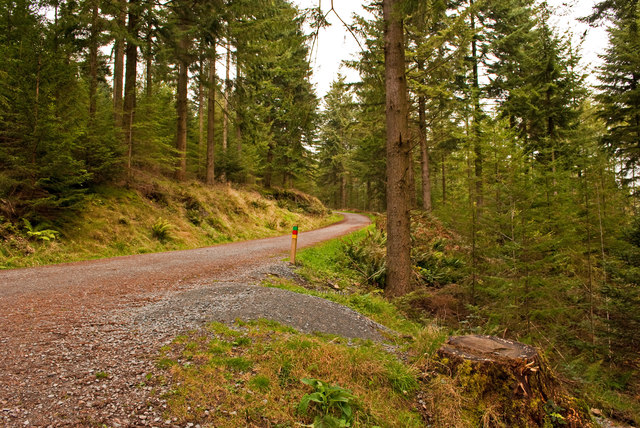 Visit Grizedale Forest whilst staying at Skelwith Fold