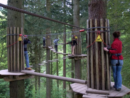 Enjoy a treetop adventure whilst staying at Skelwith Fold Caravan Park