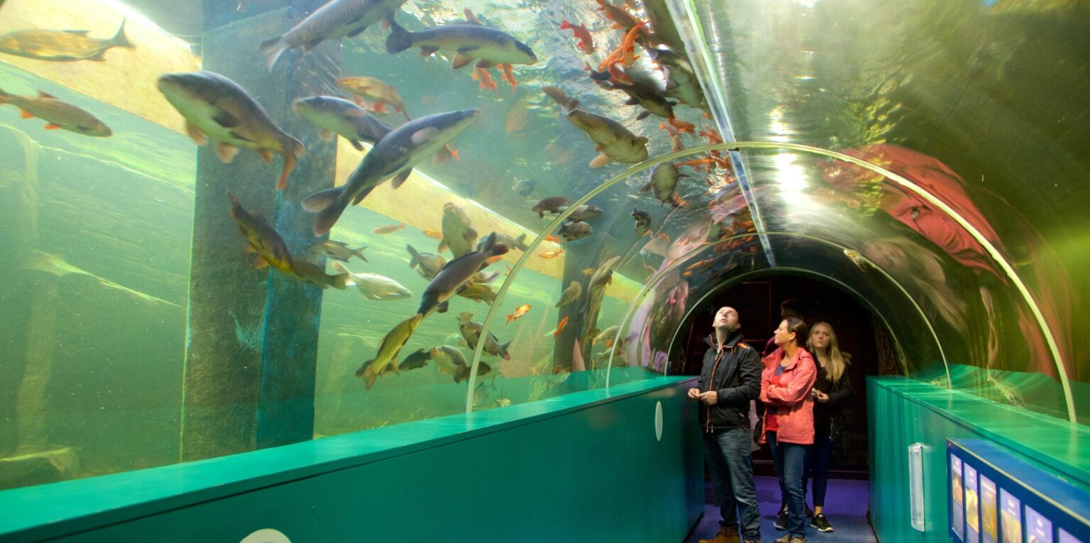 Skelwith Fold Caravan Park