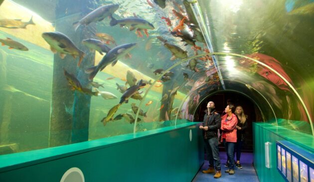 Skelwith Fold Caravan Park