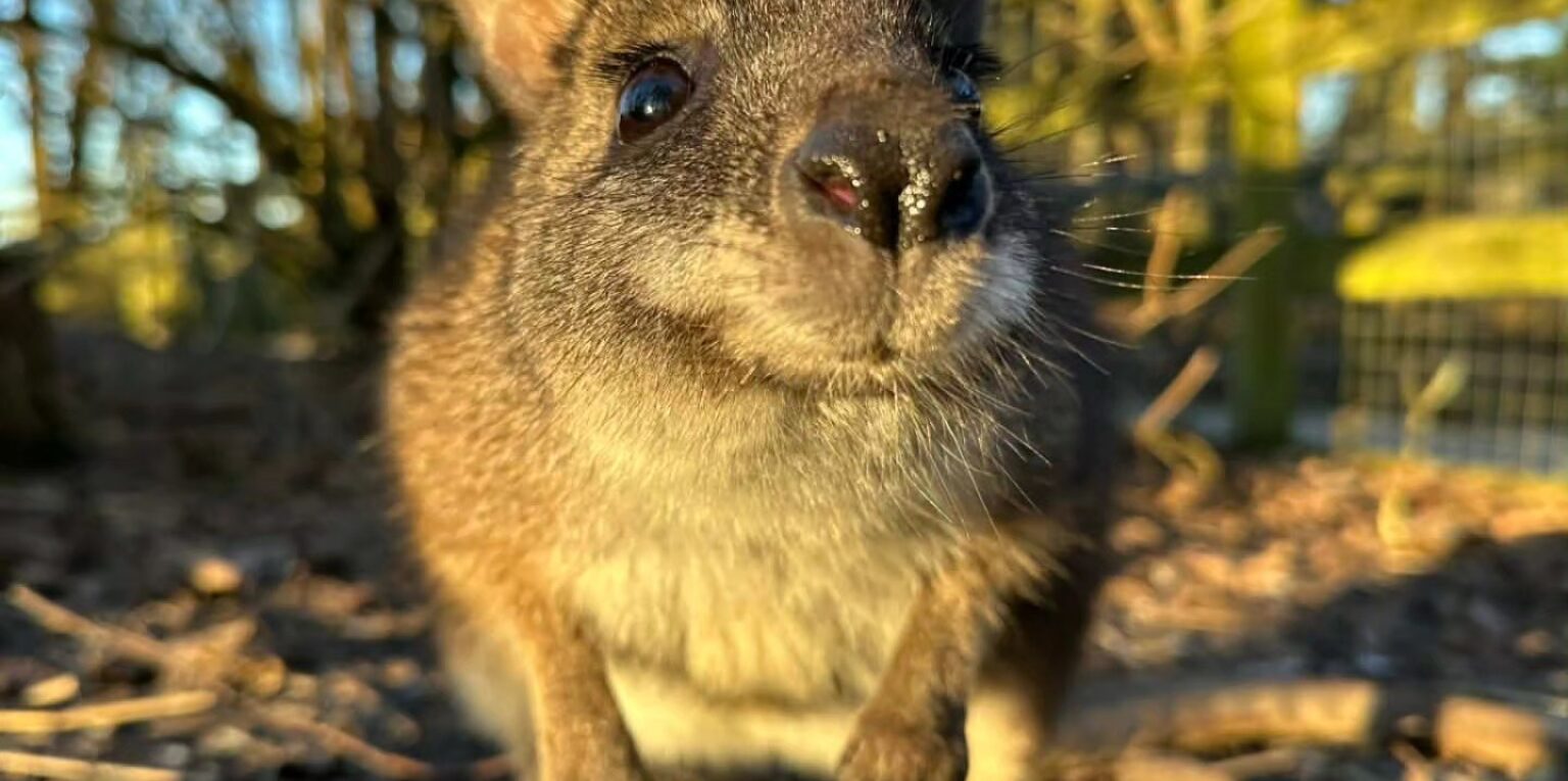 Skelwith Fold Caravan Park