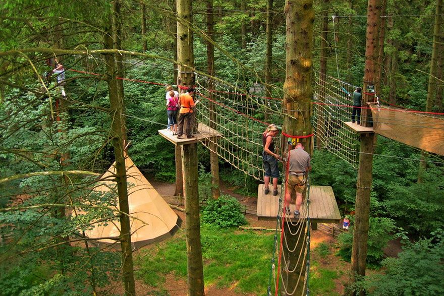 children in tree tops adventure in the forest