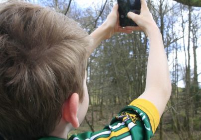 Skelwith squirrel tweets