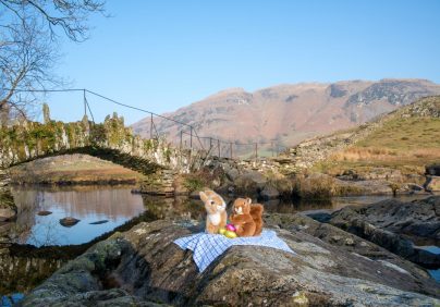 cuddly squirrel toys having picnic