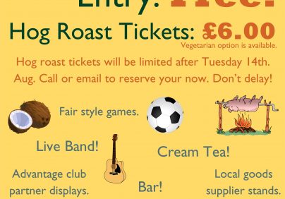 micro-festival poster Skelwith