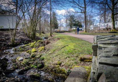 dog walking at Skelwith