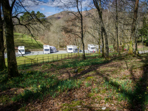 Skelwith Fold Touring in Spring