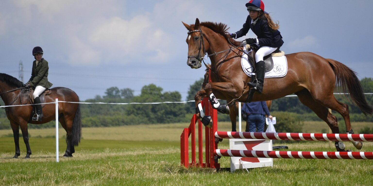 show jumping