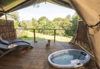 safari suite