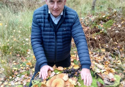Foraging in the lake district